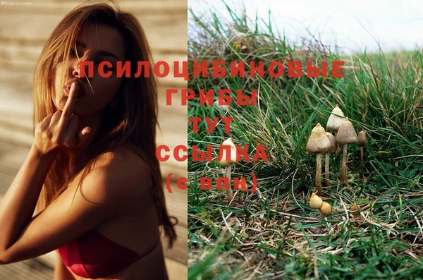 первитин Заволжск